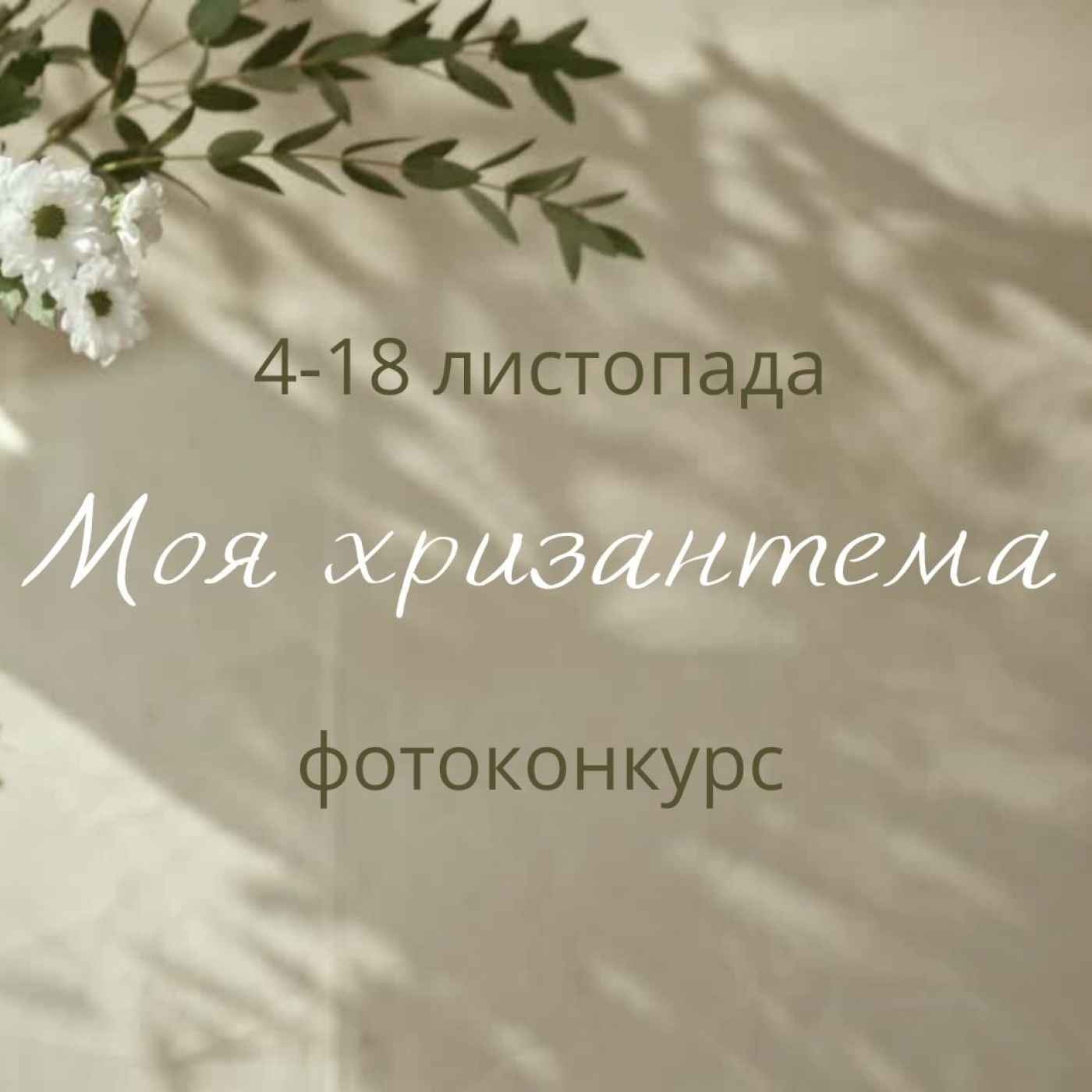 Фотоконкурс «Моя хризантема»
