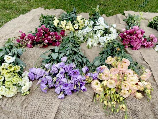 Эустома рассада (смесь цветов)